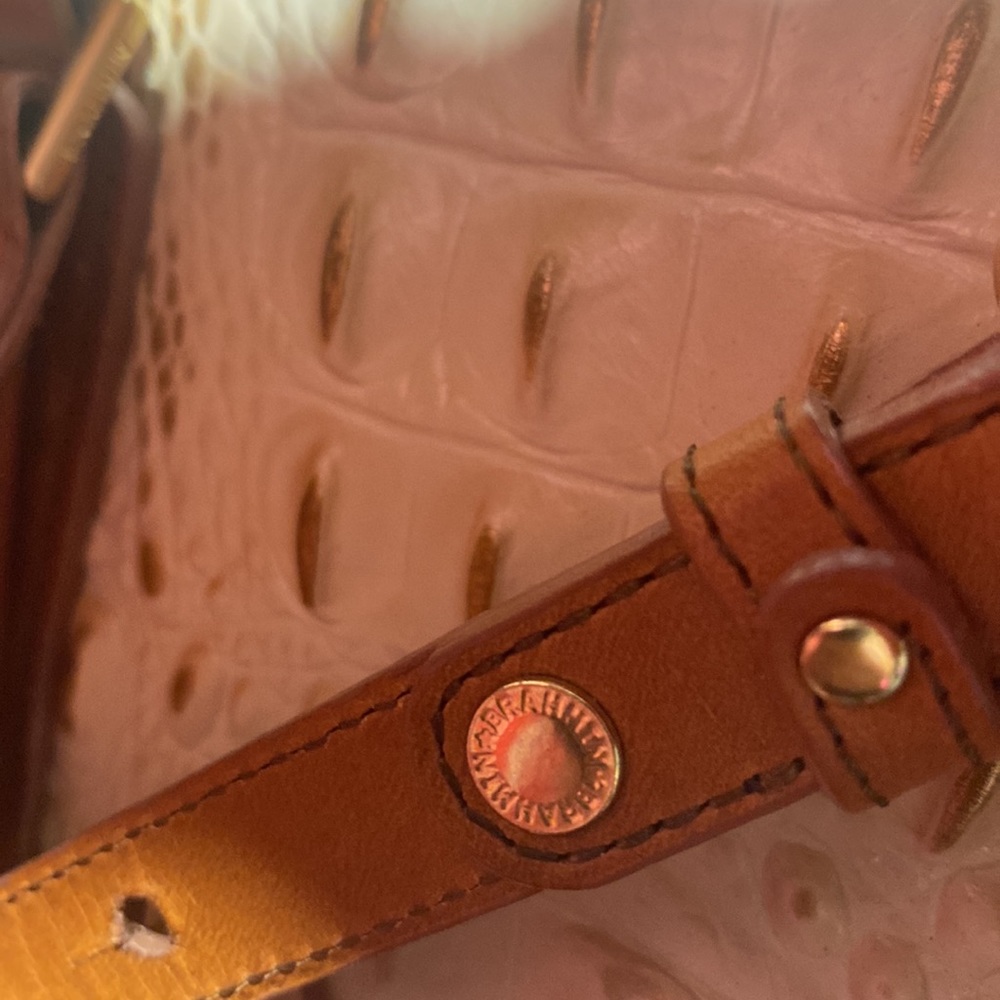 Brahmin - Picture 6 of 10